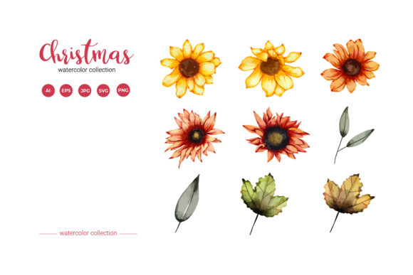 Christmas Watercolor Flower Embroidery Set Review